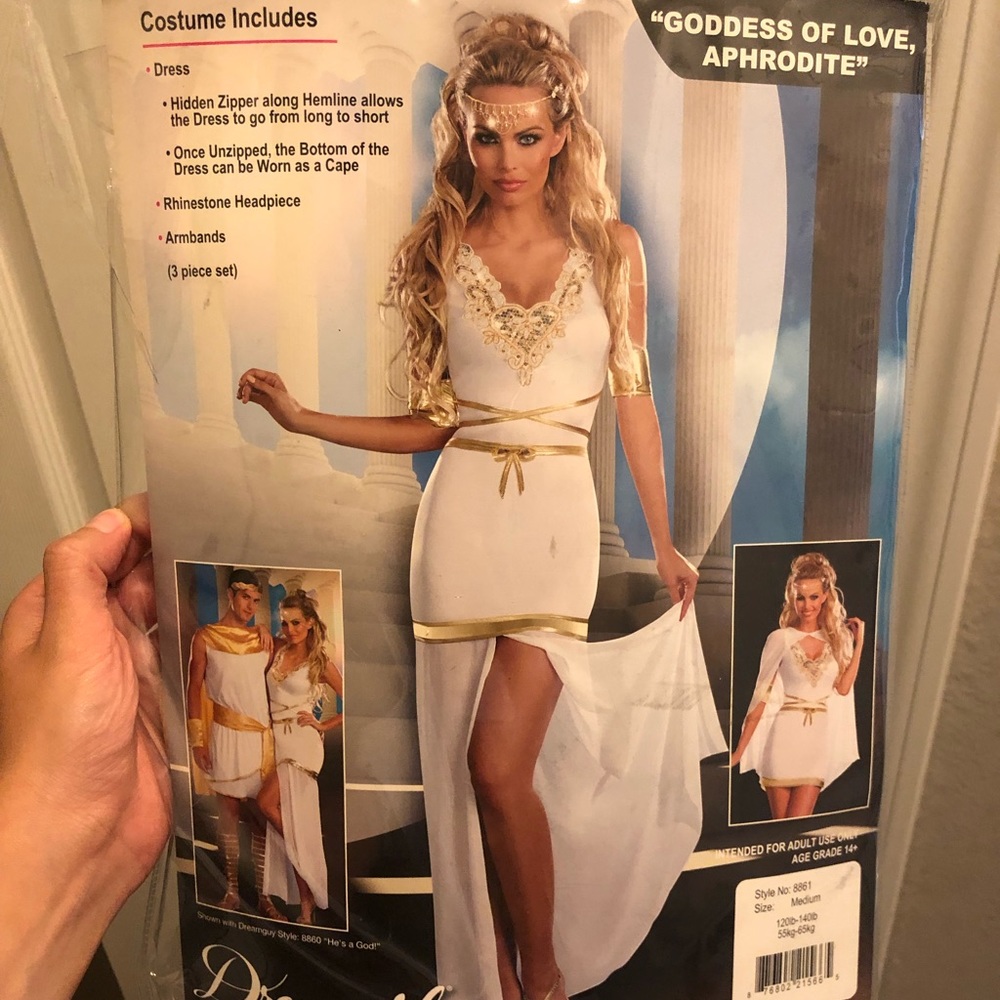 Dreamgirl Goddess Halloween Costume